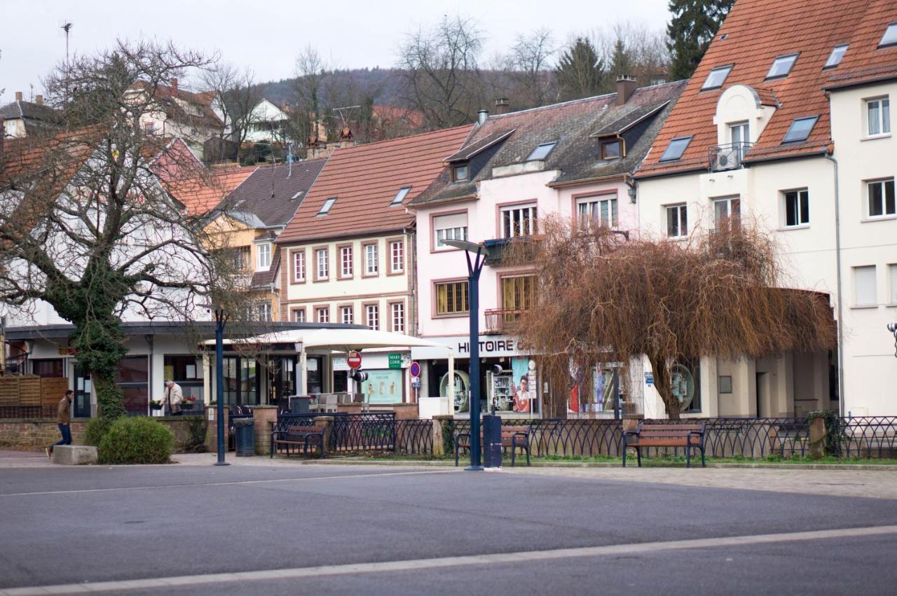 Meuble Tout Confort, Avec Terrasse Niederbronn-les-Bains Luaran gambar